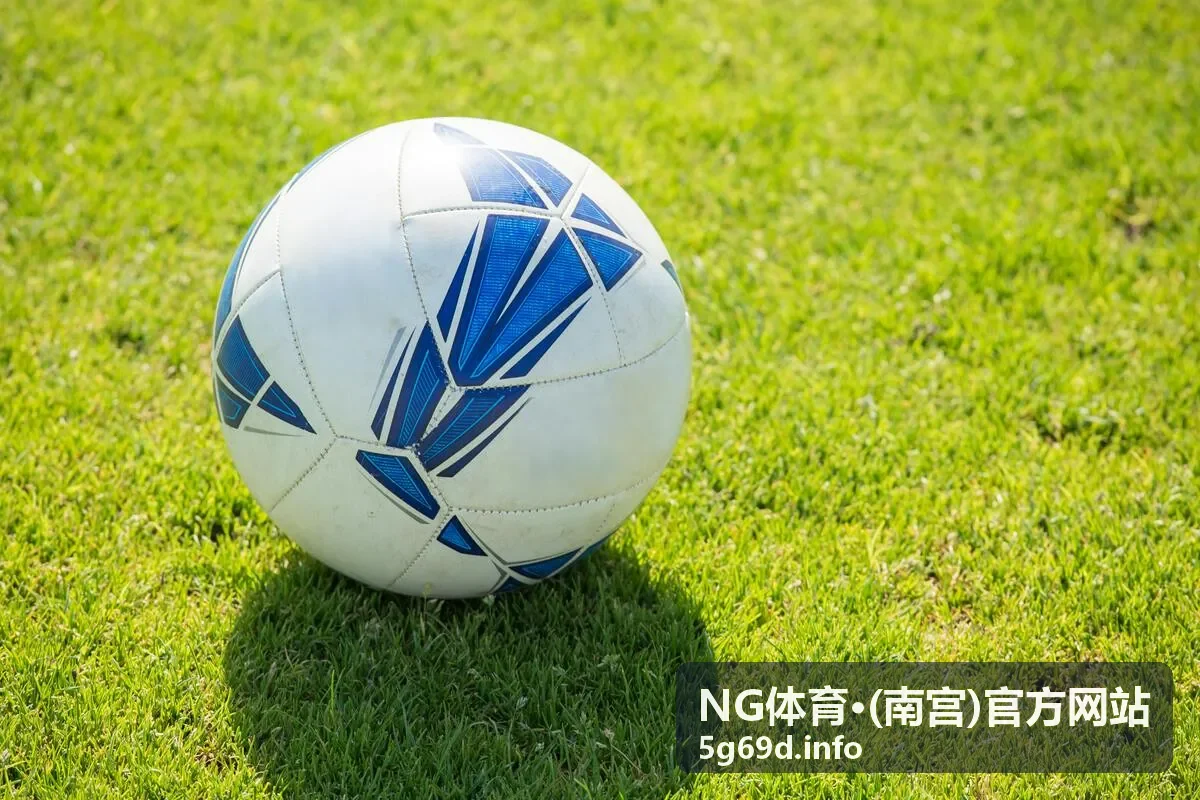 篮球直播赛事 NG体育体育现场